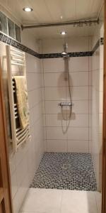 布拉尼亚克Suite cosy 2 chambres et sdb privative的浴室铺有黑色和白色瓷砖地板,设有淋浴。
