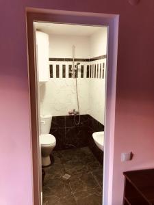 梅斯蒂亚River side SVANETI的一间带卫生间和水槽的浴室