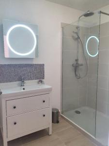 AmazyGîte du château de Chevannes的浴室配有盥洗盆和带镜子的淋浴