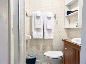 ChesterFranklyn Farm Inn的浴室配有卫生间、水槽和毛巾。