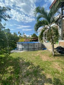 索佩特兰Finca Sopetrán Antioquia的一个带游泳池和棕榈树的后院