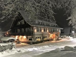 多瑙艾辛根Pension Baarblick的被雪覆盖的房子