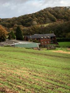 埃克塞特Lower Thornton Farm的大型建筑前方的大片场地