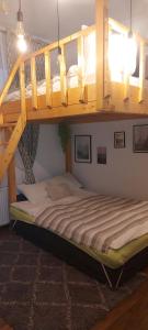萨图马雷Garden的一间卧室配有带梯子的双层床