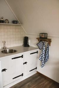 GramsbergenB&B t'Brocantje的厨房配有水槽和台面