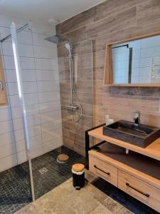 沙佩尔代布瓦Chalet de charme avec terrasse, jardin et sauna extérieur的一间带水槽和淋浴的浴室