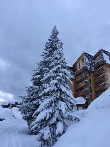 阿沃里亚兹Penthouse Apartment 28m² in Avoriaz right next to 3 ski lifts, lake view的相册照片