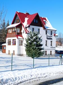 卡尔帕奇Willa Velde的雪上有红色屋顶的白色建筑