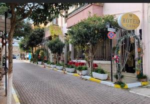 都拉斯娜伊丝酒店的建筑一侧有盆栽植物的街道
