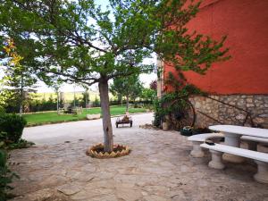 塞利亚Casa rural Las Masadas的一座石头庭院里的一棵树,旁边是一座建筑