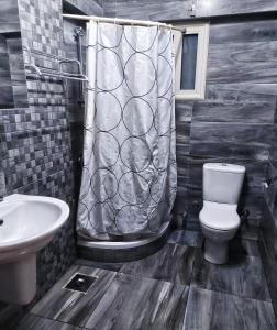 开罗Jessy Charming apartment in Heliopolis的一间带卫生间和淋浴帘的浴室