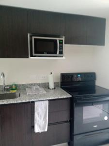 埃雷迪亚Lovely Apartment near Costa Rica airport的厨房配有炉灶和微波炉。