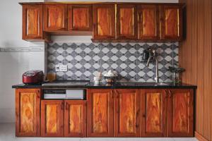 潘切Căn Hộ 3 PN Rin's House的厨房配有木制橱柜和台面