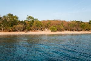班尤温当孟赞干奴萨湾度假酒店的一片水体,背靠海滩