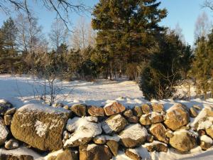 TriigiSaunamaja koos tünnisaunaga的一块石墙,被雪覆盖在田野中