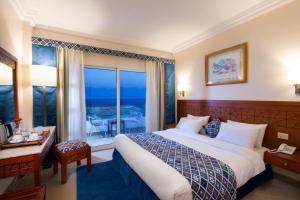 赫尔格达Swiss Wellness Dive Resort的酒店客房设有一张床和一个大窗户