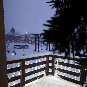 DoljeştiDor de Casa的一个带围栏和长椅的雪覆盖公园