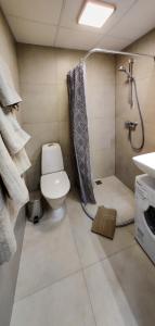 塔林MyApartments Kotka的带淋浴、卫生间和盥洗盆的浴室