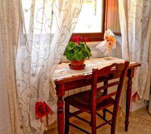奥斯图尼La Piana degli Ulivi的植物桌子和带窗帘的窗户