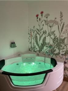 贝瑙卡斯Loft Ben A Ocaz的浴室设有绿色水浴缸