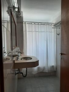 玛德琳港LOWCOST MADRYN的一间带水槽和淋浴帘的浴室