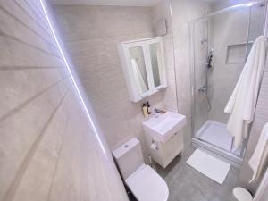 温彻斯特Station Rooms的浴室配有卫生间、淋浴和盥洗盆。
