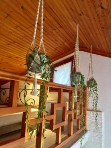 尼欧克利马SK studios & apartments的天花板上挂着盆栽植物的房间