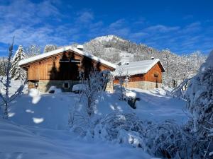 MégevetteChalet Alpage Proche Genève的雪中木屋,有雪覆盖的树木