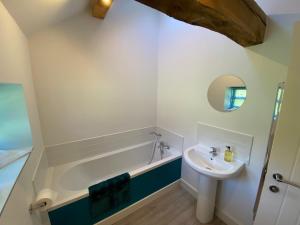 登比Dyffryn Cottage - King bed, self-catering cottage with Hot Tub的浴室配有盥洗盆和浴缸。