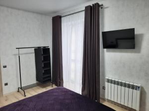 波利亚纳Апартаменти у Сонячному Закарпатті的一间卧室设有一张床、一台电视和一个窗口。