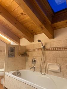 普雷圣迪迪埃Maison Francey的浴室设有浴缸和淋浴。