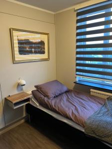 雷克雅未克Cosy Harbour Apartment的一间卧室设有一张床和一个窗口