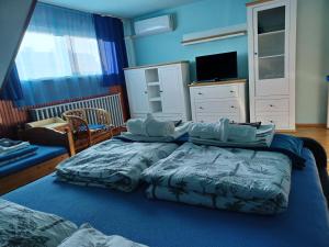 埃格尔Éva Apartmanház的一间带两张床的卧室和一台电视