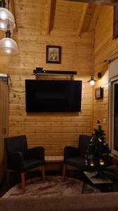 迈季代勒舍姆斯Vida Bhermon 1, one wood Cabin的一间带电视和圣诞树的客厅
