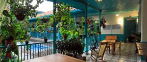 萨兰托Casa de las Dos Palmas的阳台配有桌椅和盆栽植物