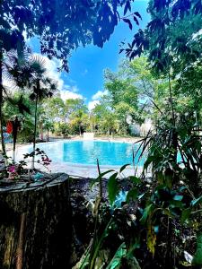 坎昆Hotel Tequila Cancun的享有度假村游泳池的景色