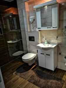 新瓦罗什Apartman Mali Raj Zlatar的浴室配有卫生间、盥洗盆和淋浴。