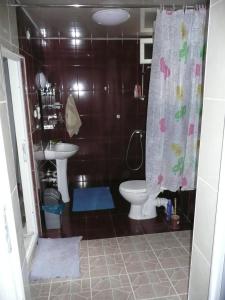 KhashuriGvirilas Sakhli Guest House的浴室配有卫生间、淋浴和盥洗盆。