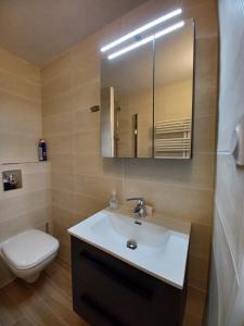瓦卢瓦尔Studio cosy et chaleureux的一间带水槽、卫生间和镜子的浴室