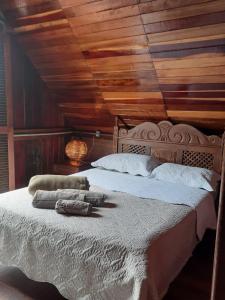 圣若昂-达巴拉Casa/chalé Furnas - Capitólio MG的一间卧室设有一张木天花板床。