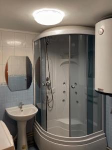 沃罗赫塔LEX的带淋浴和盥洗盆的浴室