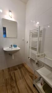 劳耶克特普利采Apartmán Hestia 5的白色的浴室设有水槽和镜子