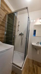 劳耶克特普利采Apartmán Hestia 5的带淋浴和盥洗盆的浴室
