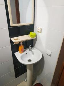 亚列姆切V Ulyanu的浴室设有白色水槽和镜子