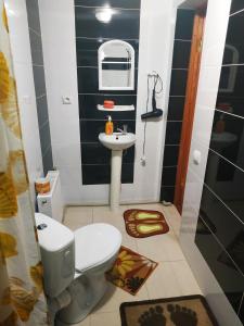 亚列姆切V Ulyanu的一间带卫生间和水槽的小浴室