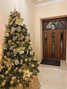 波利亚纳Сонячна Соната的有一扇门的房间的圣诞树