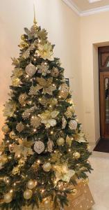 波利亚纳Сонячна Соната的圣诞树上装饰着饰物