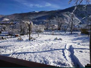亚列姆切V Ulyanu的山地覆盖的雪地