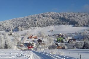 SłotwinyDomek nad Potokiem的被雪覆盖的村庄,背景是山