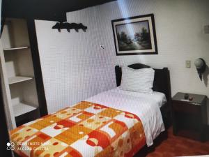 波帕扬Hotel Don Blas的卧室配有一张床,墙上挂着一幅画